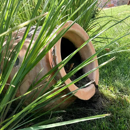 Sorrento - Menada Sveti Vlas