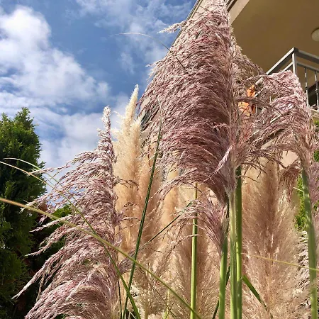 Sorrento - Menada Lägenhet Sveti Vlas