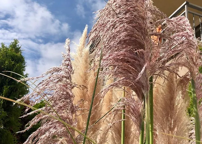 Sorrento - Menada 公寓 圣弗拉斯